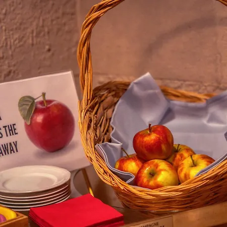 Otel Steinhaeuser Hof Neustadt an der Weinstraße