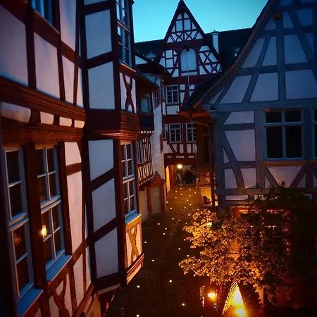 Steinhaeuser Hof Neustadt an der Weinstrasse