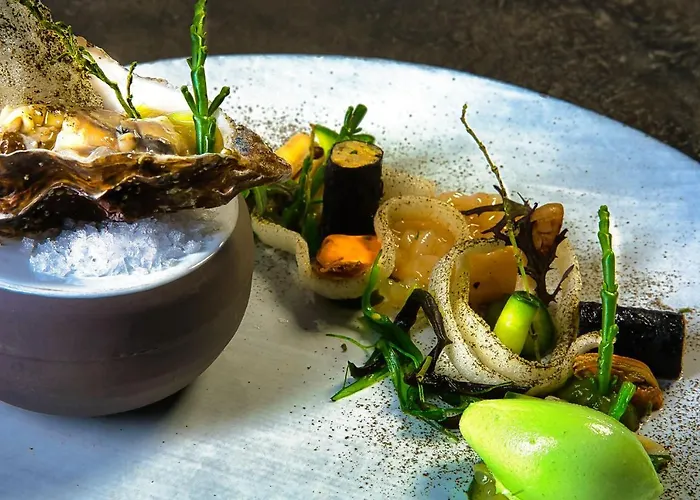 Steinhaeuser Hof Neustadt an der Weinstraße