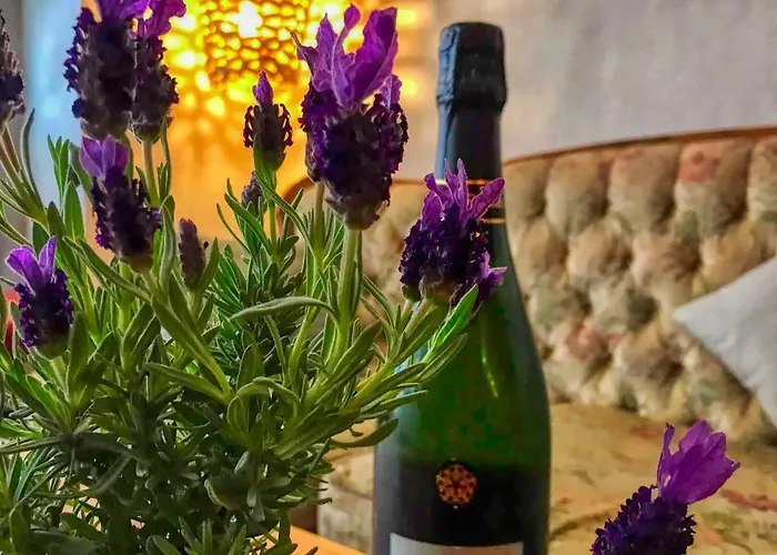 Steinhaeuser Hof Hotel