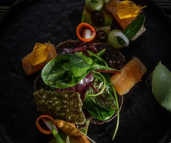 Hotel Steinhaeuser Hof